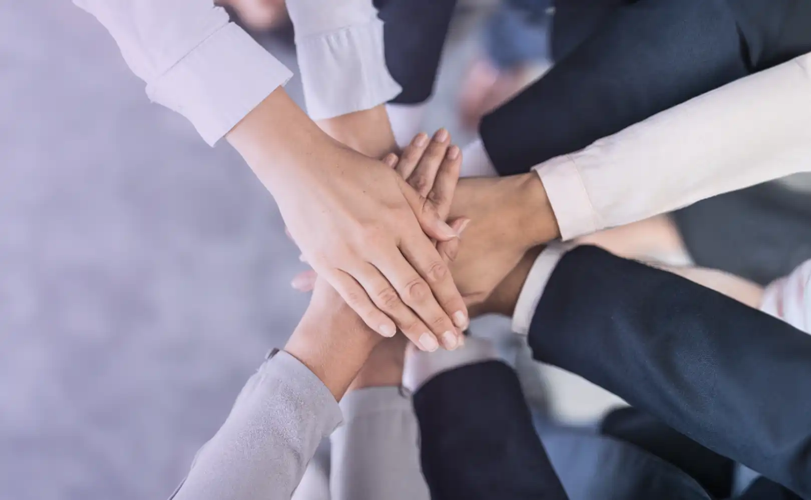 Sustainable Leadership: Meet Our Visionaries Leading the Way to a Greener Future